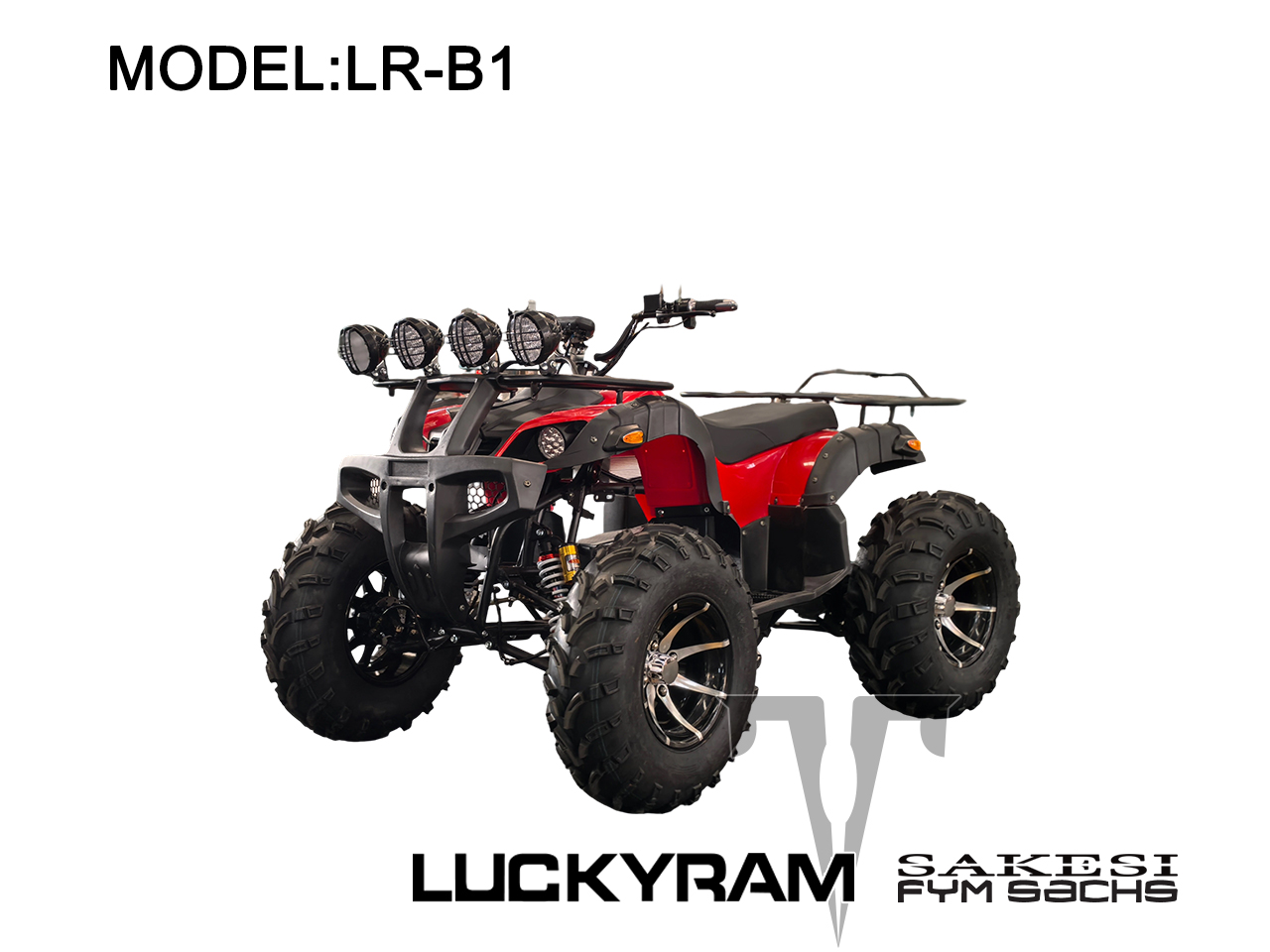 LR-B1